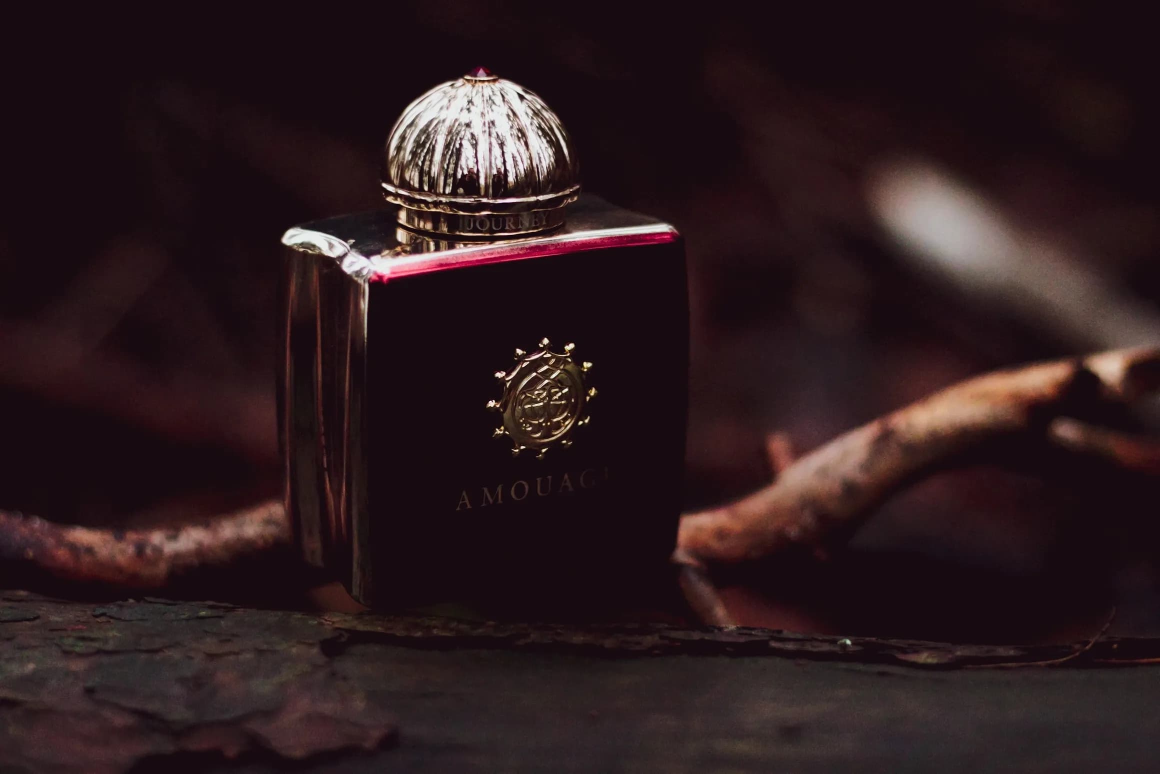 Dark perfume bottle with a gold cap, lit from one side on a forest floor