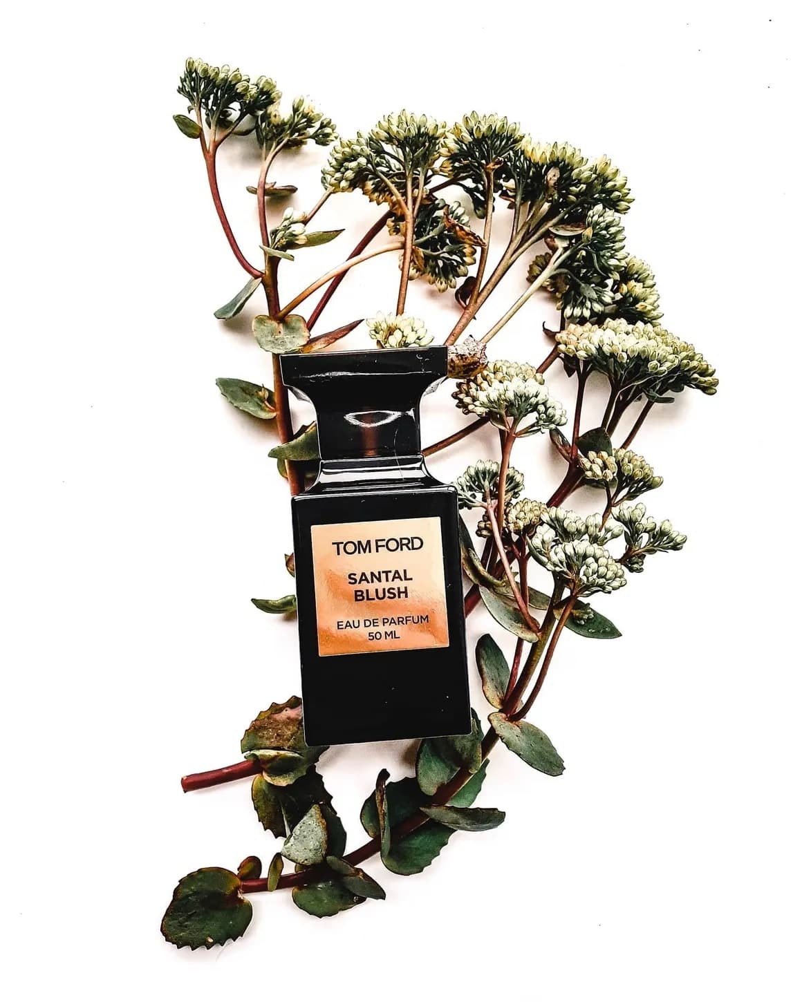 Black rectangular bottle laid on pale sedum flowers against white